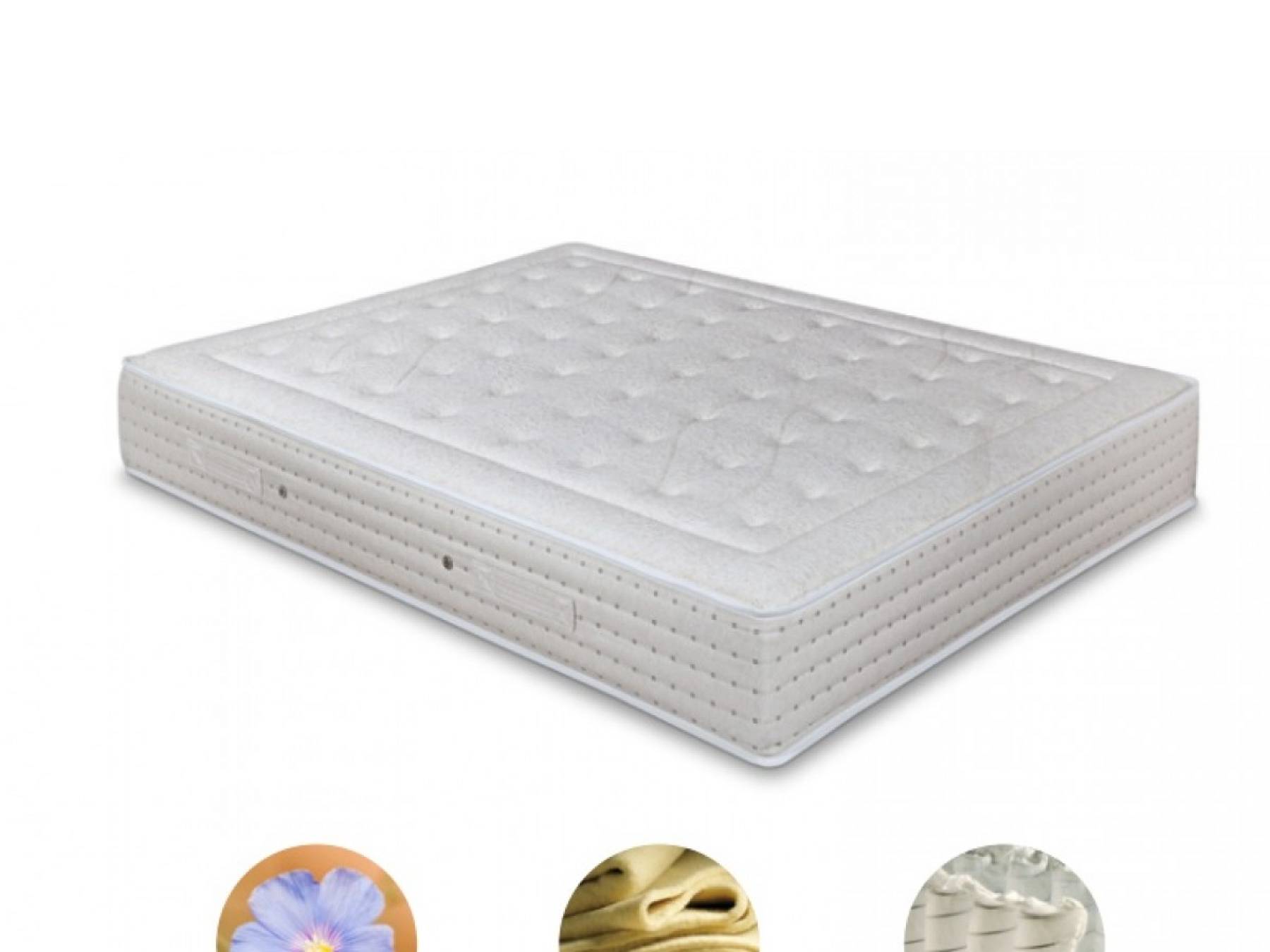 THE LEMON TREE EDUCATION