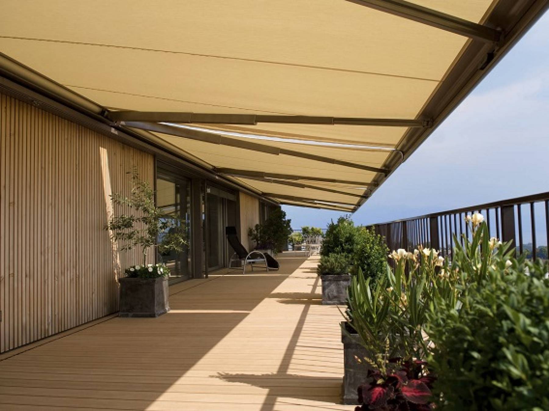 THE LEMON TREE EDUCATION