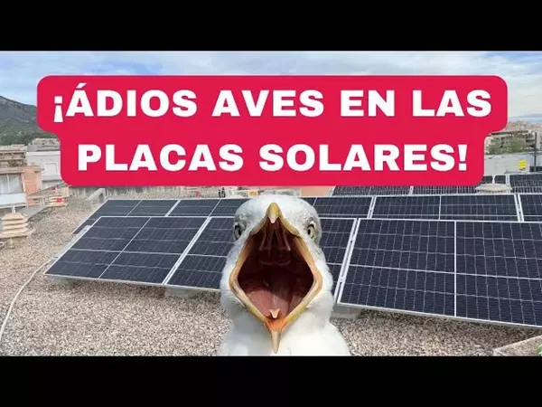 REJILLA ANTIAVES EN PLACAS SOLARES *549€ 