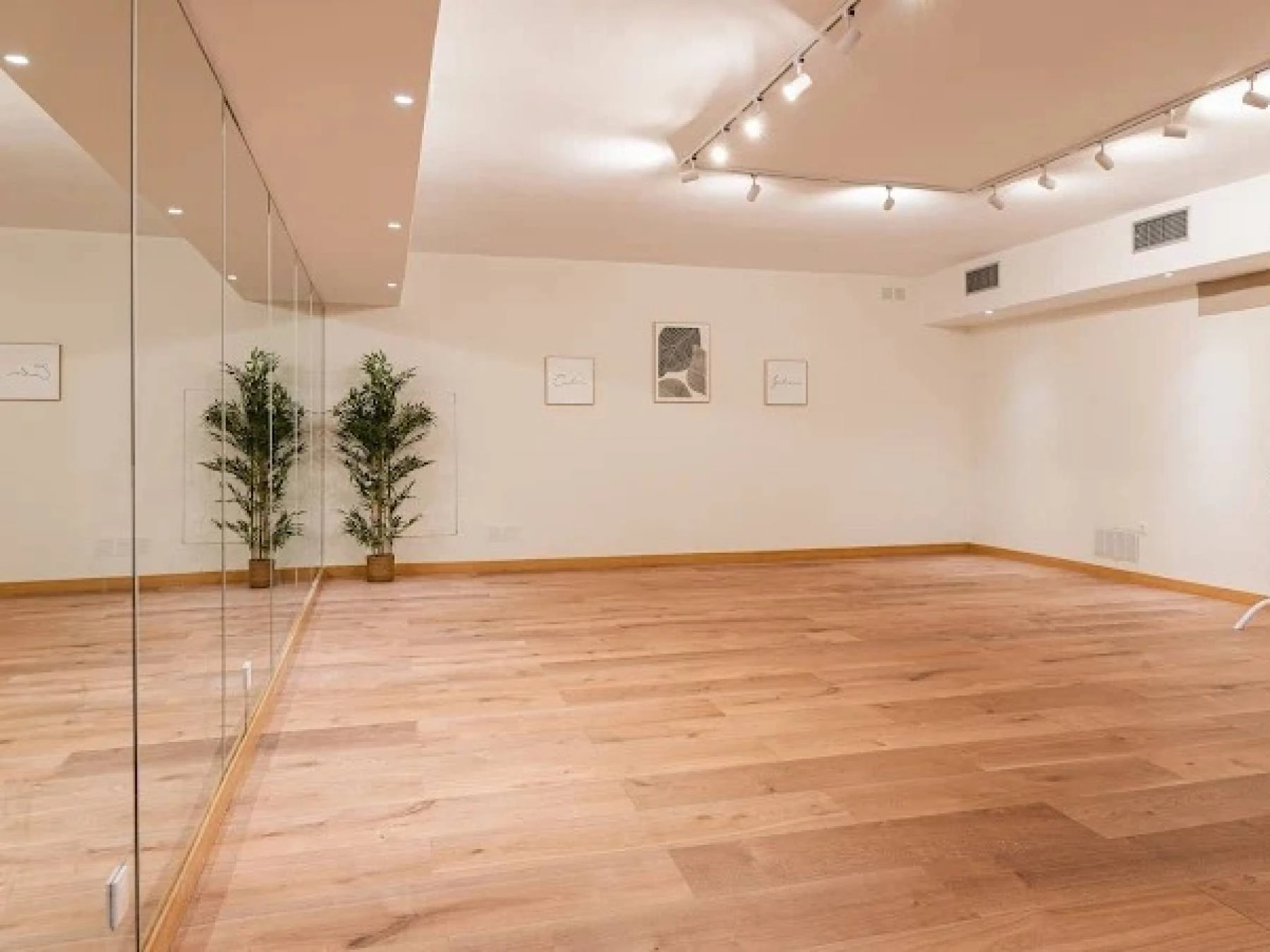 Clases de Yoga, Pilates, Barre...