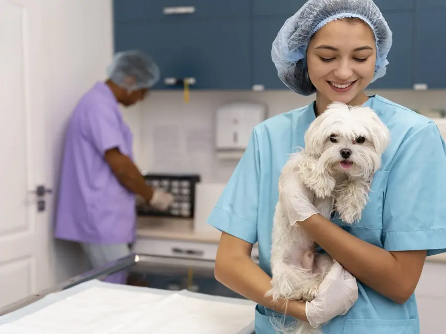 🐶 CURSO AUXILIAR DE VETERINARIA