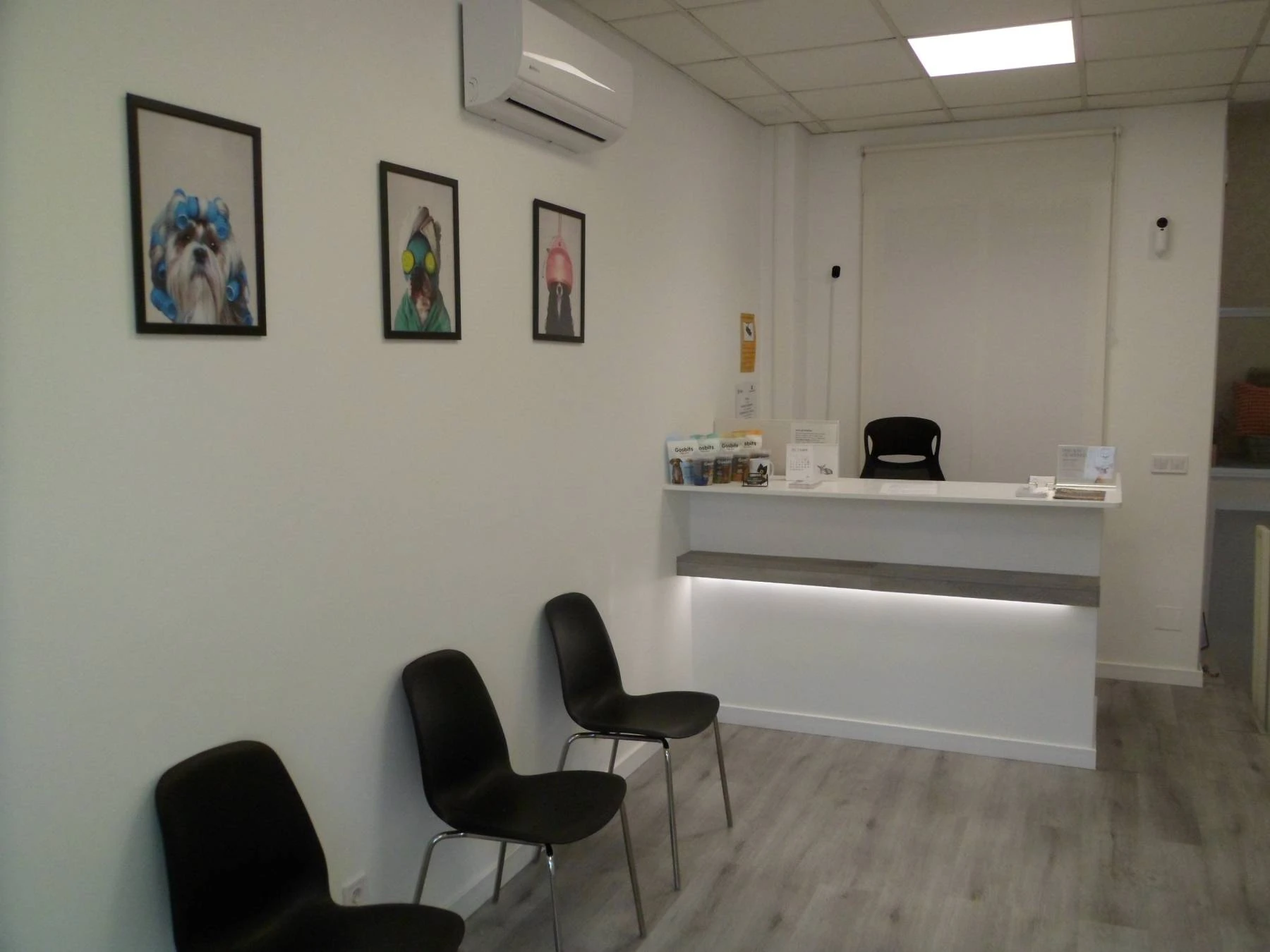 Guarderia canina en Boadilla