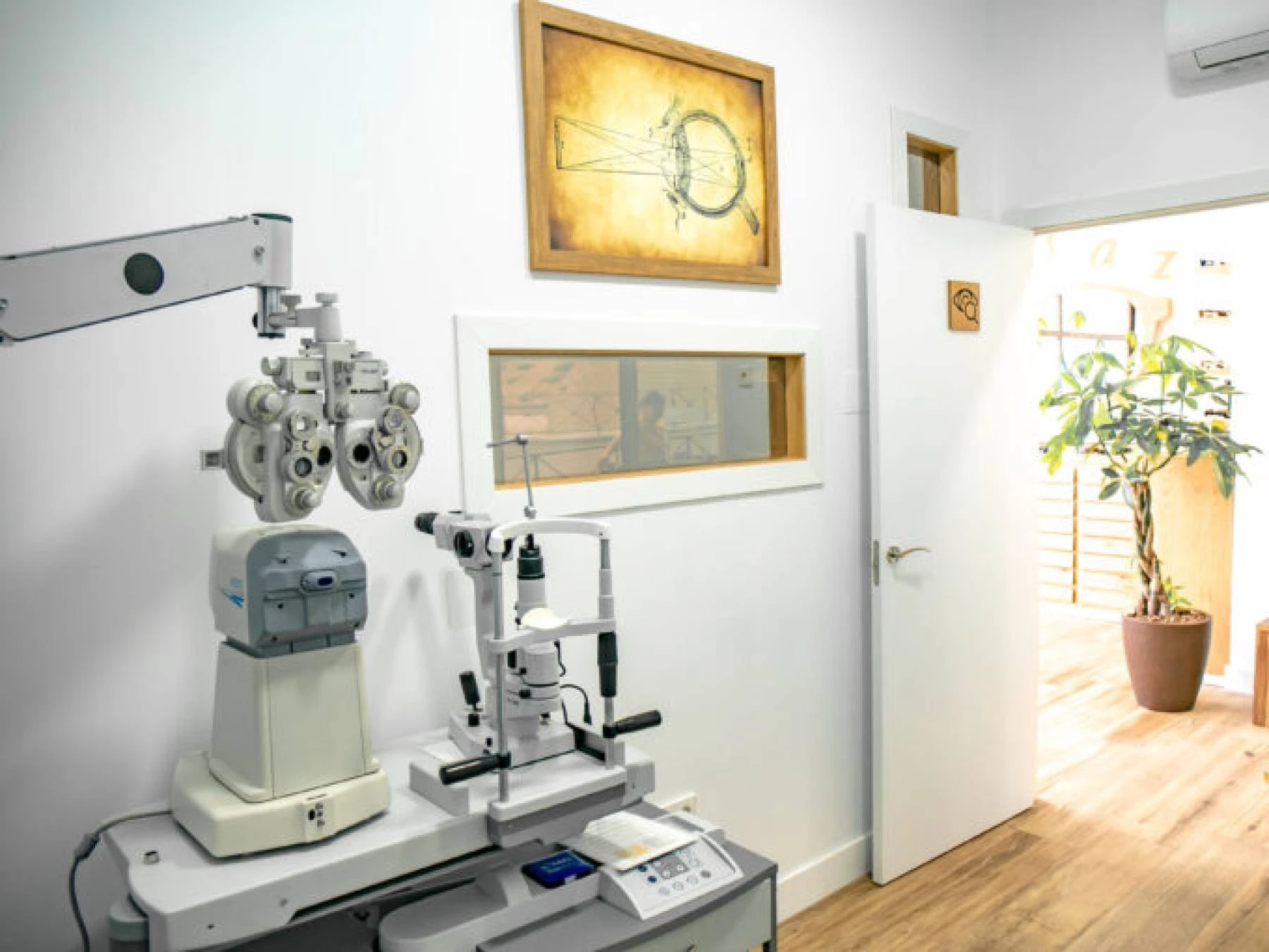 Graduación con profesionales ópticos