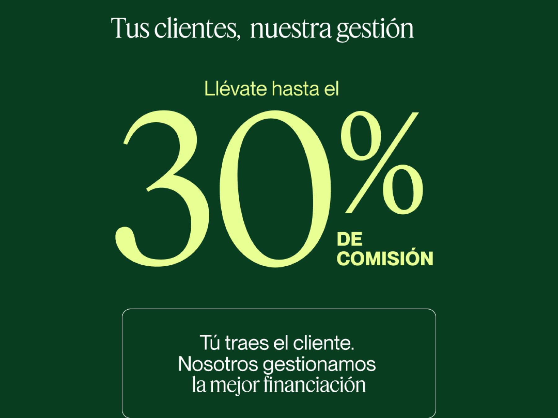 ALFYPIEL Limpieza de Alfombras a Domicilio