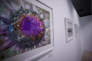 En Villanueva de la Cañada, la fotografía, protagonista de las exposiciones en Febrero