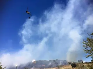 La Comunidad de Madrid pide colaboración ciudadana para evitar incendios forestales