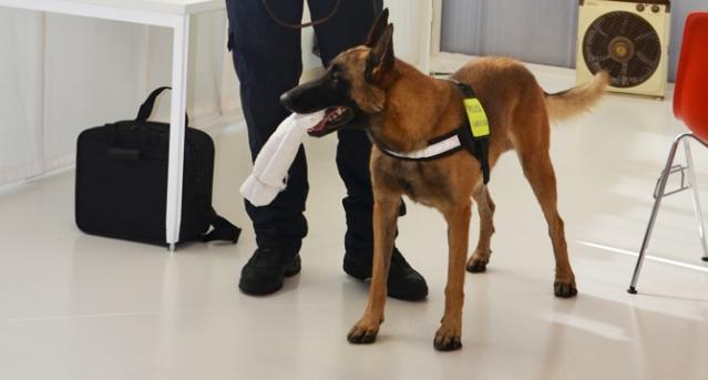El Ayuntamiento refuerza la seguridad del municipio con la creación de una Unidad Canina en la Policia Local