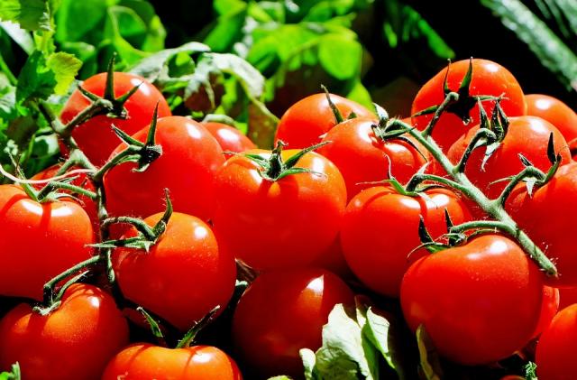Villanueva de la Cañada y Villanueva del Pardillo serán los 
primeros municipios europeos 100% vegetarianos