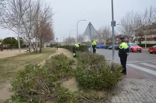 El Ayuntamiento pone en marcha un proyecto para mejorar la movilidad y seguridad vial en el municipio