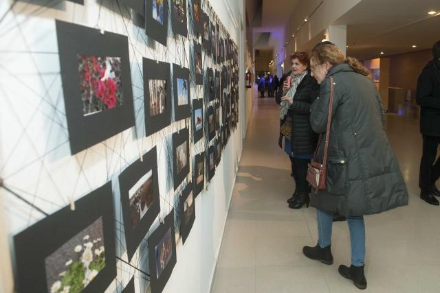 Inauguradas tres exposiciones en el C.C. La Despernada de Villanueva de La Cañada