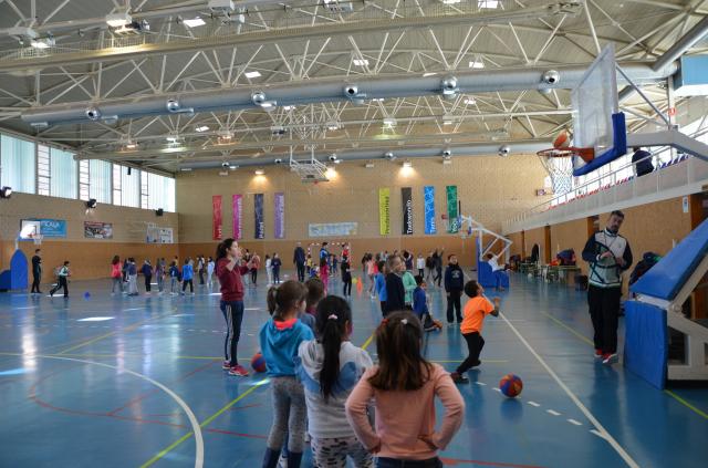 
                                                    Más de medio millar de escolares participan en la XVIII Fiesta del Minibasket