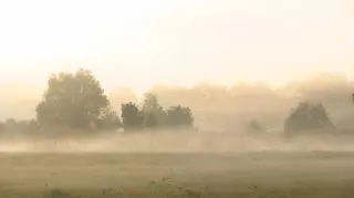 Comienzo de semana con niebla y cielos cubiertos