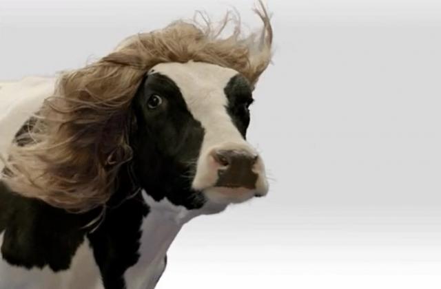 
                                                    Previsión meteorológica para la jornada del Lunes 2 de Marzo