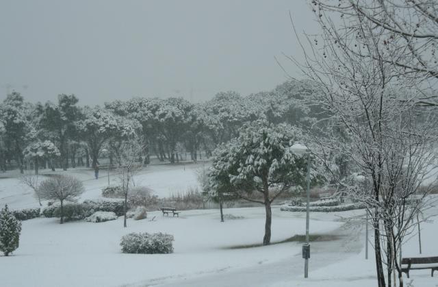 
                                                    Aviso Naranja en la Comunidad de Madrid por nevadas y mínimas de -13 grados