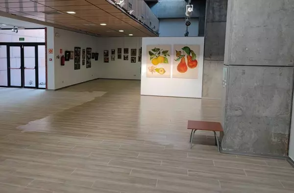 Finalizan las obras de mejora y mantenimiento del Centro Cultural Tamara Rojo de Villanueva del Pardillo