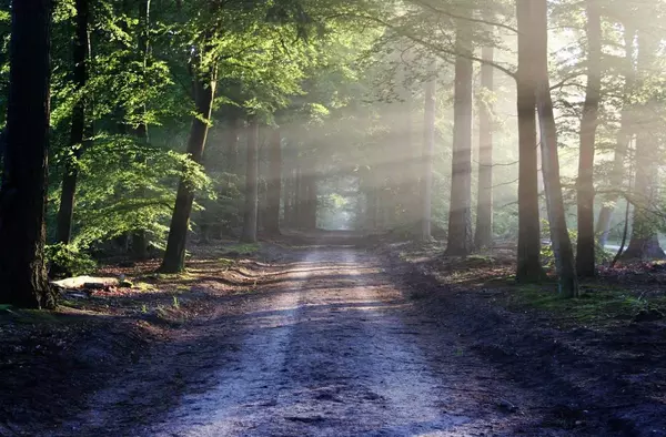 Mi vecino escribe...'El Camino' por Jesús Usar Gutiérrez