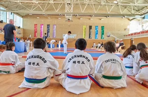 Villanueva de la Cañada acoge el VII Campeonato de Taekwondo