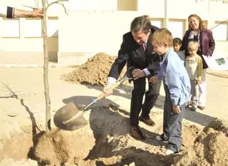 El Ayuntamiento planta 40 árboles en los colegios públicos.