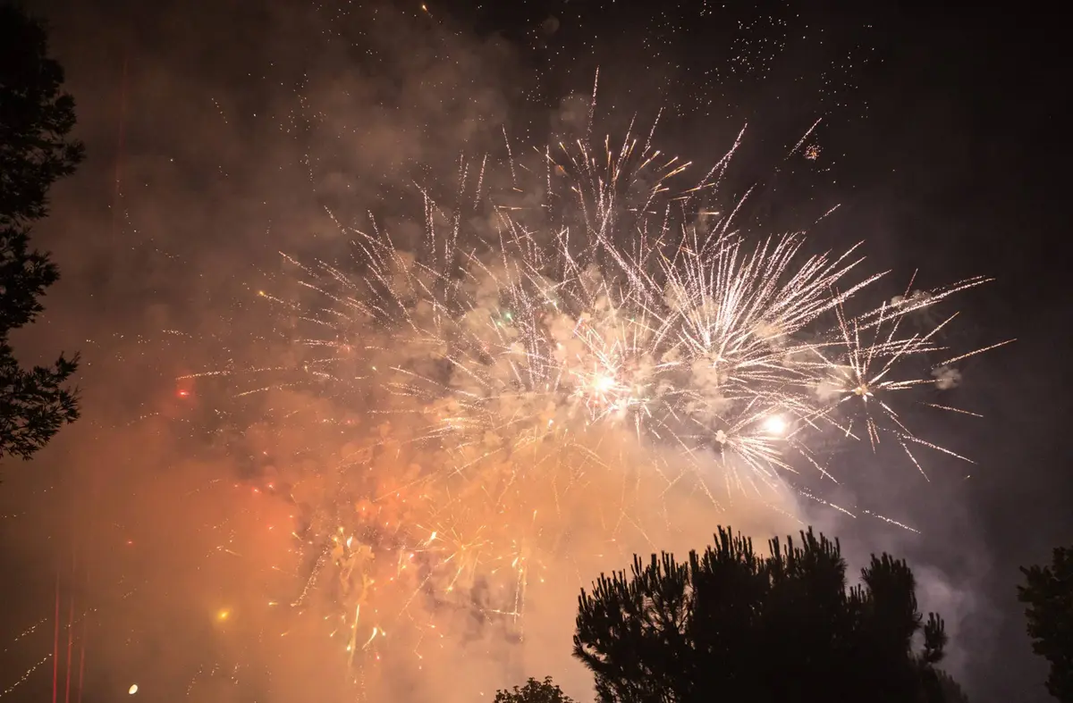 Programación de Fiestas del Carmen de Pozuelo 2025. Del 16 al 20 de Julio en Pozuelo