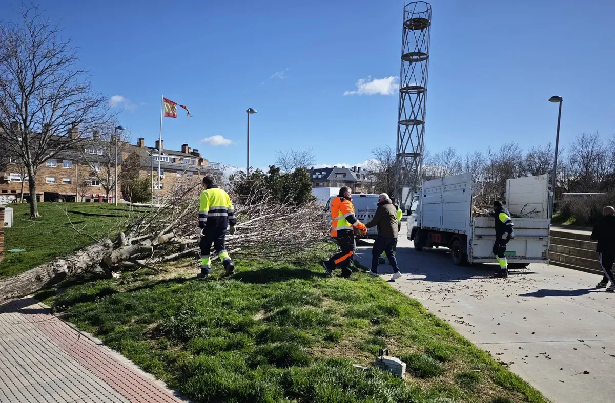 Villanueva del Pardillo hace balance de daños tras el episodio de fuertes vientos 
