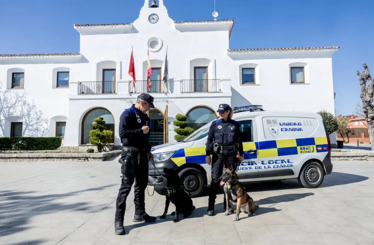 
                                Villanueva de la Cañada acoge las I Jornadas Policiales y Militares de Guías Caninos con exhibiciones y pruebas de élite                                    