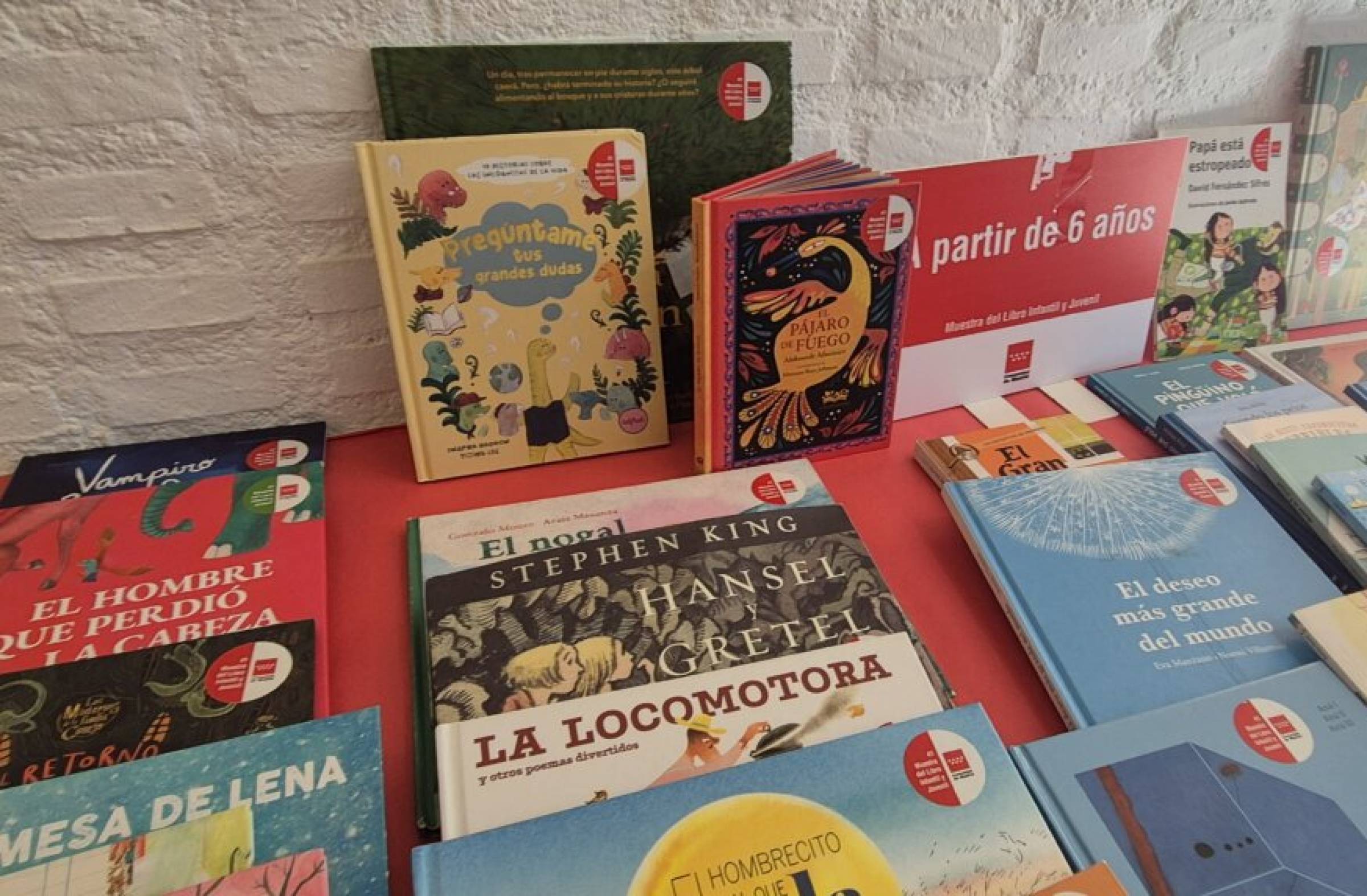 
                                                    220 libros para descubrir en Villanueva de la Cañada: la biblioteca municipal acoge la Muestra del Libro Infantil y Juvenil