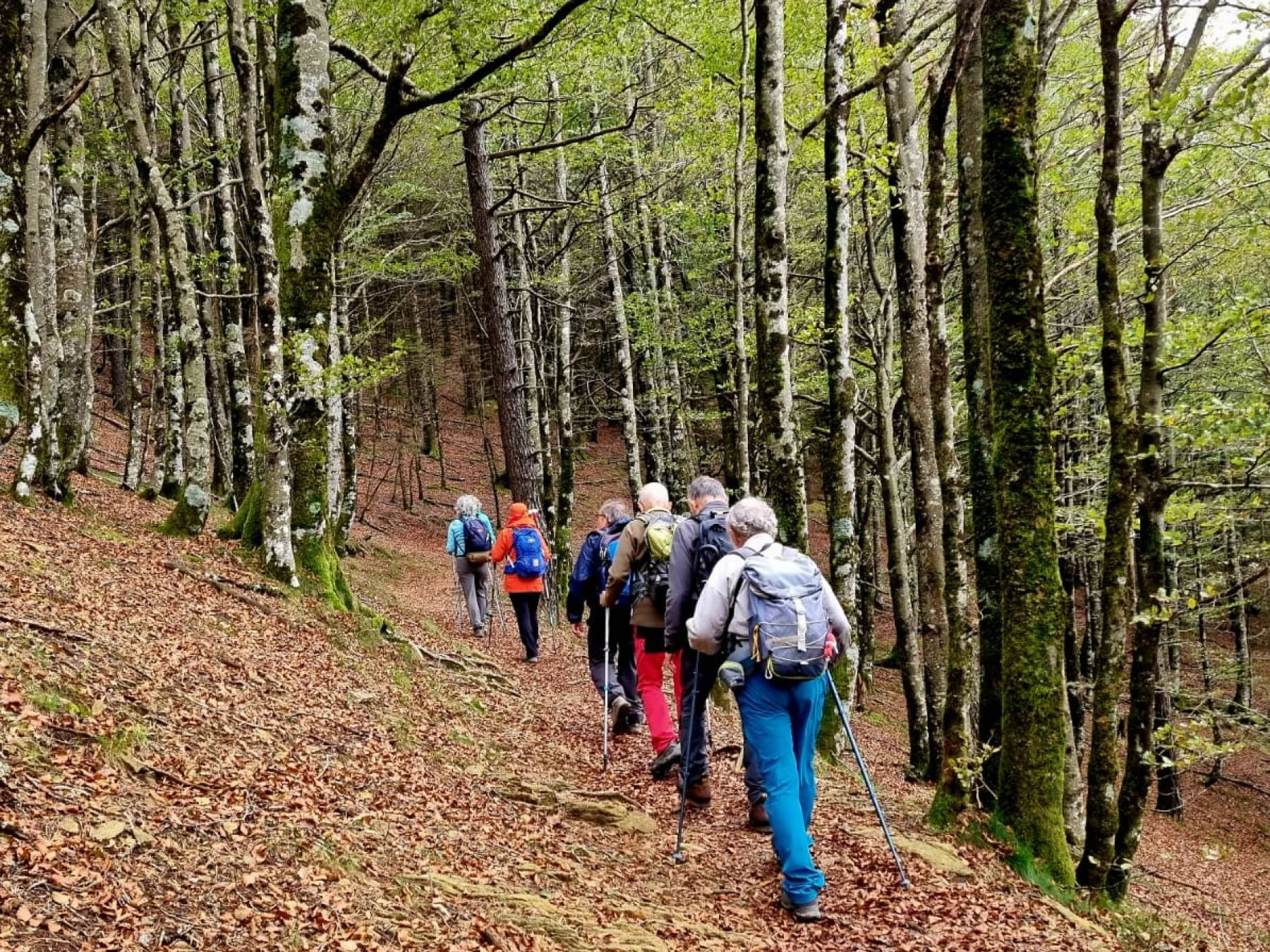 Otoño en el Baztan: Viaje de Senderismo por el Pirineo Navarro