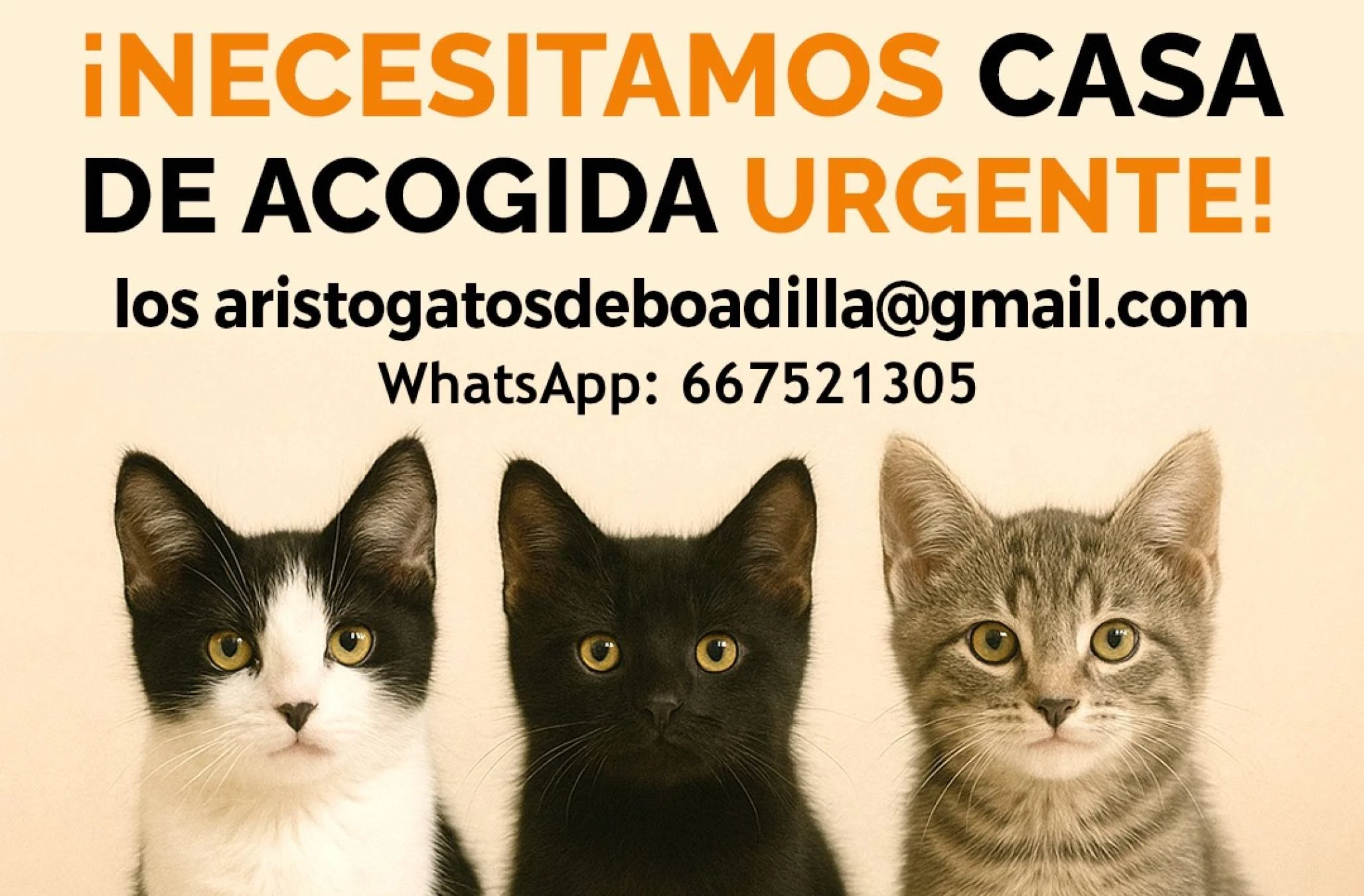 Persona honrada y responsable 
