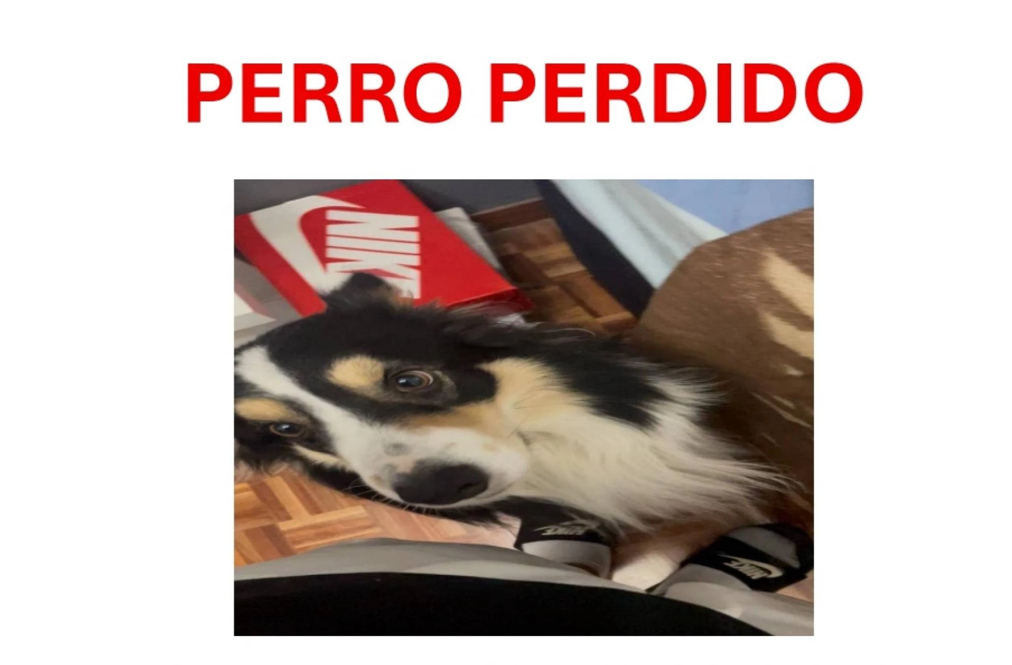 Empleada del hogar 