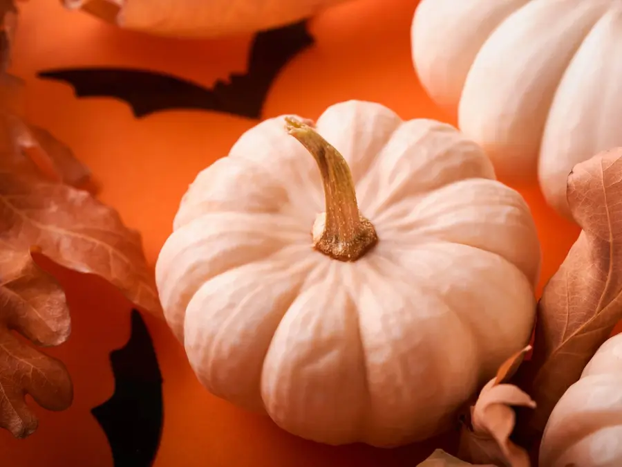 Taller de Decoración de Calabazas para niños