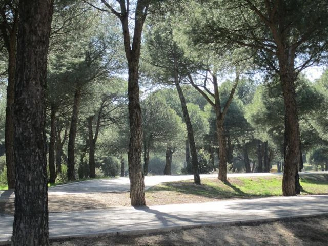 Paseos y meditación en la naturaleza. Monte del Pilar